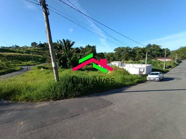 #00036 - Área para Venda em Juquiá - SP - 2