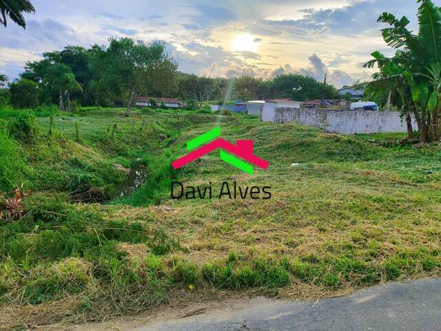 #00036 - Área para Venda em Juquiá - SP - 3